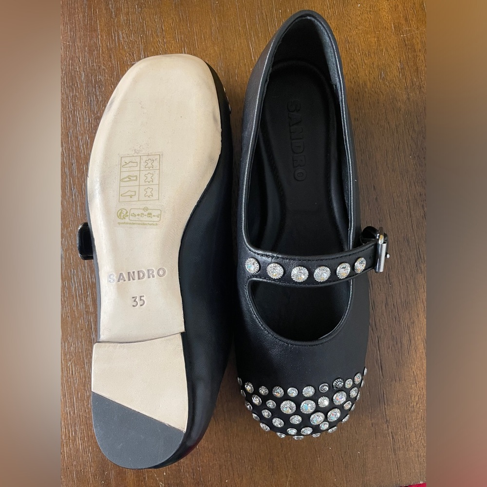 Salna Embellished Ballet Flats in Leather - Picture 4 of 5